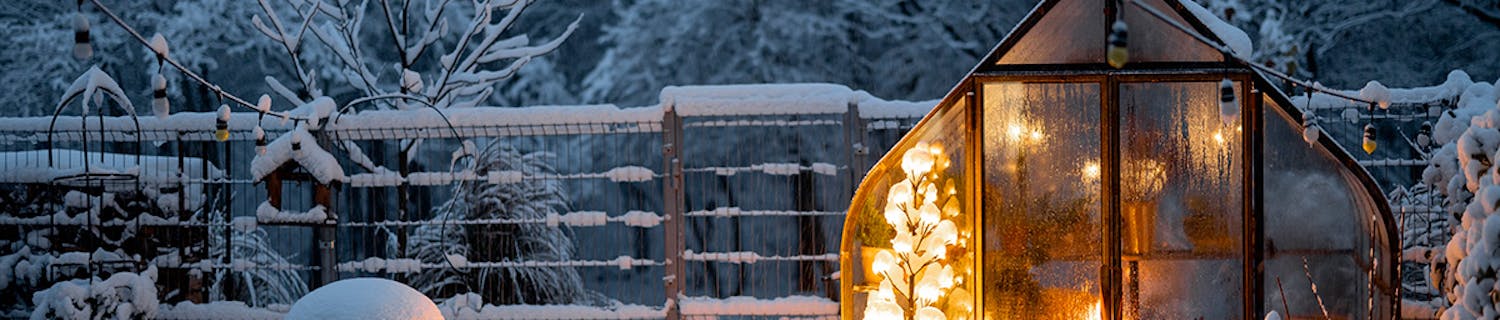 Hagen i desember Hagen i desember: Hva du kan gjøre